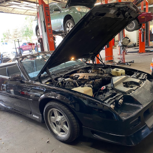Black Car Open Hood | Top Edge - Lakewood