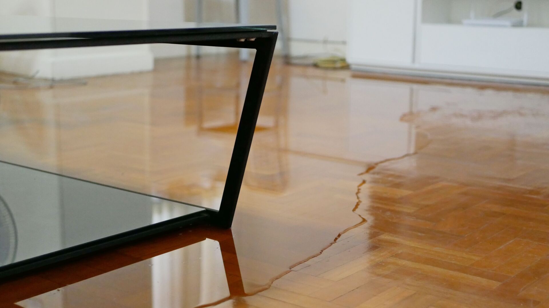 Water Damage Myths