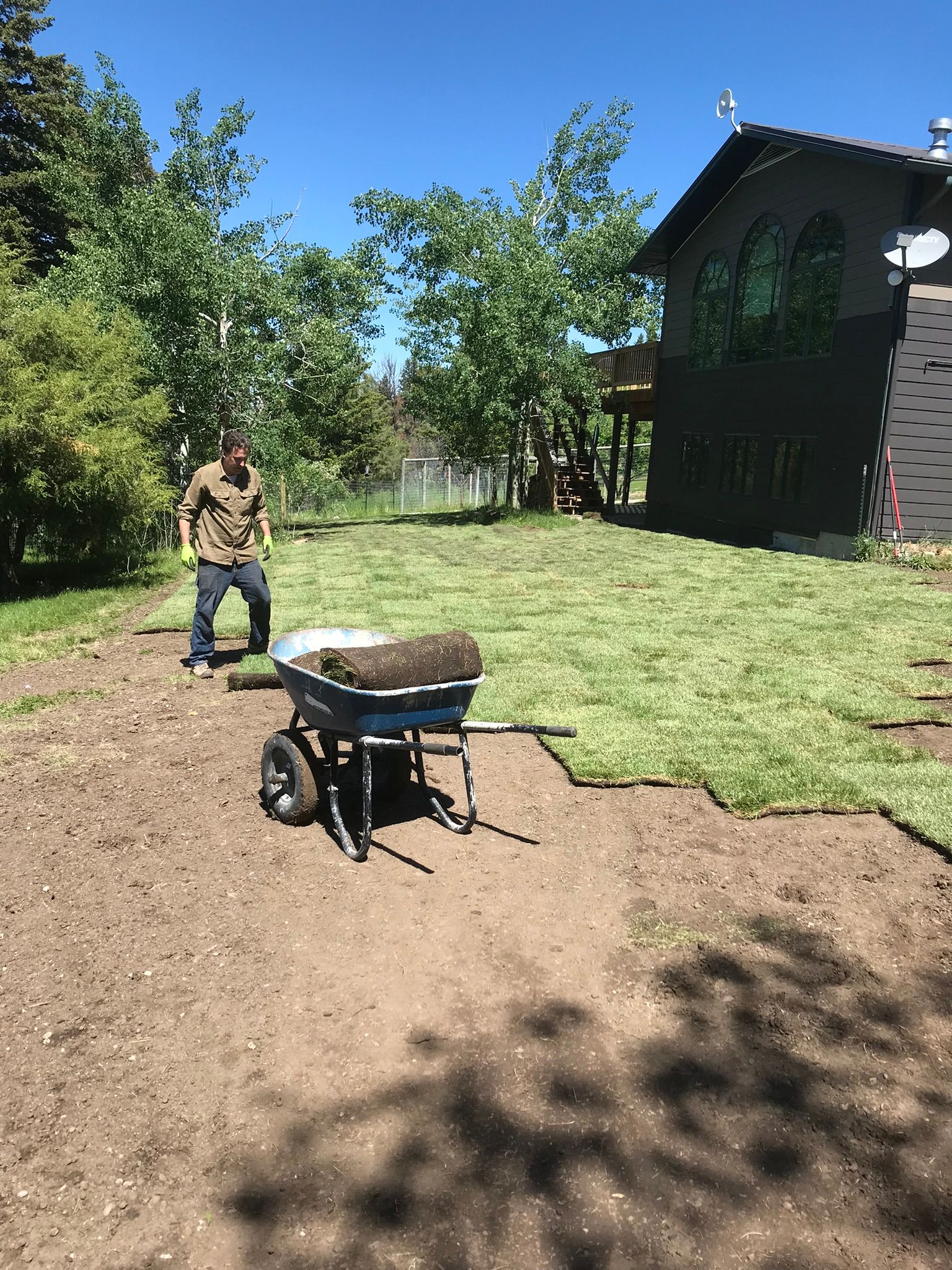 A man is pushing a wheelbarrow full of grass in a yard.