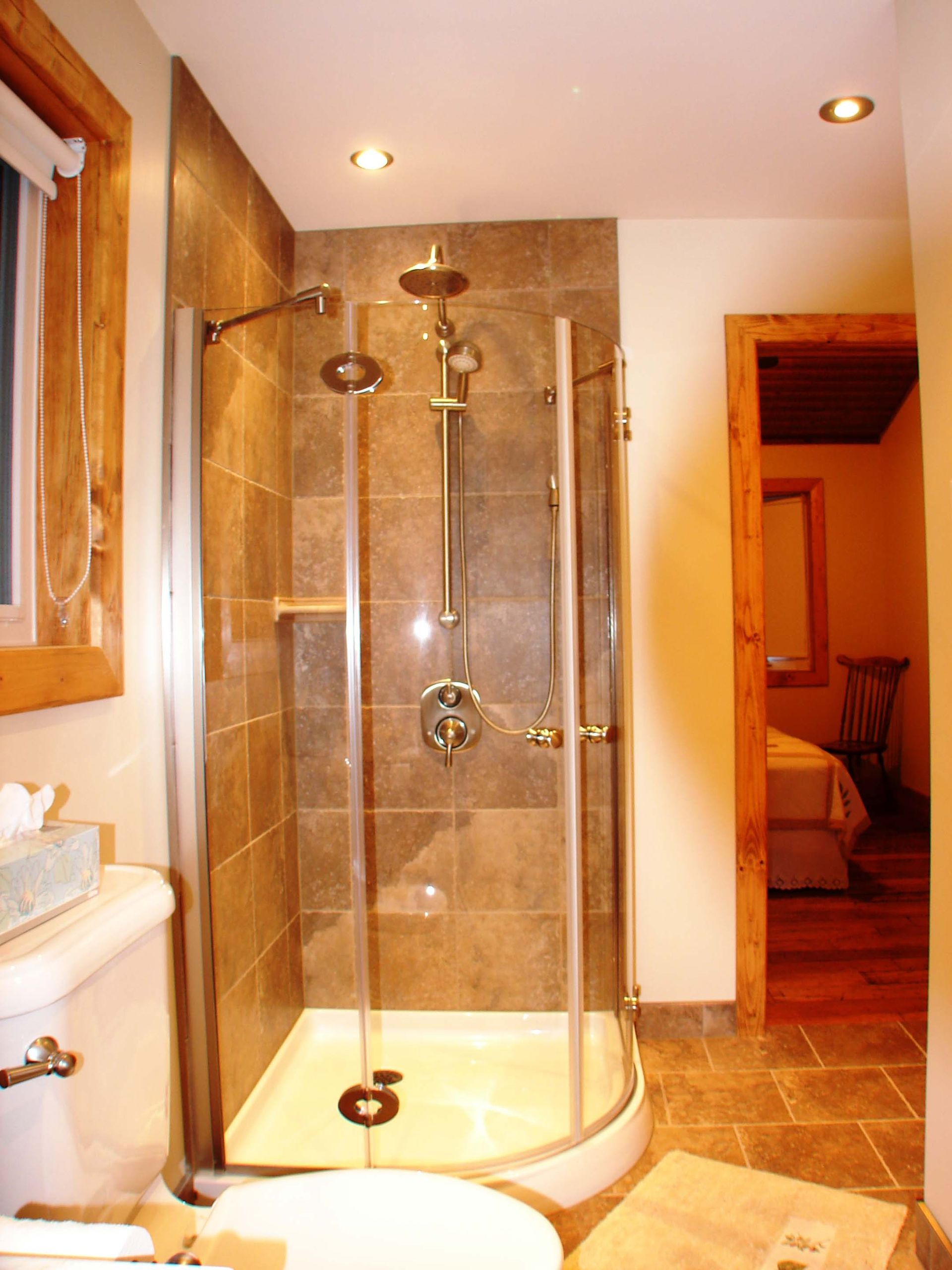 A bathroom with a walk in shower and a toilet