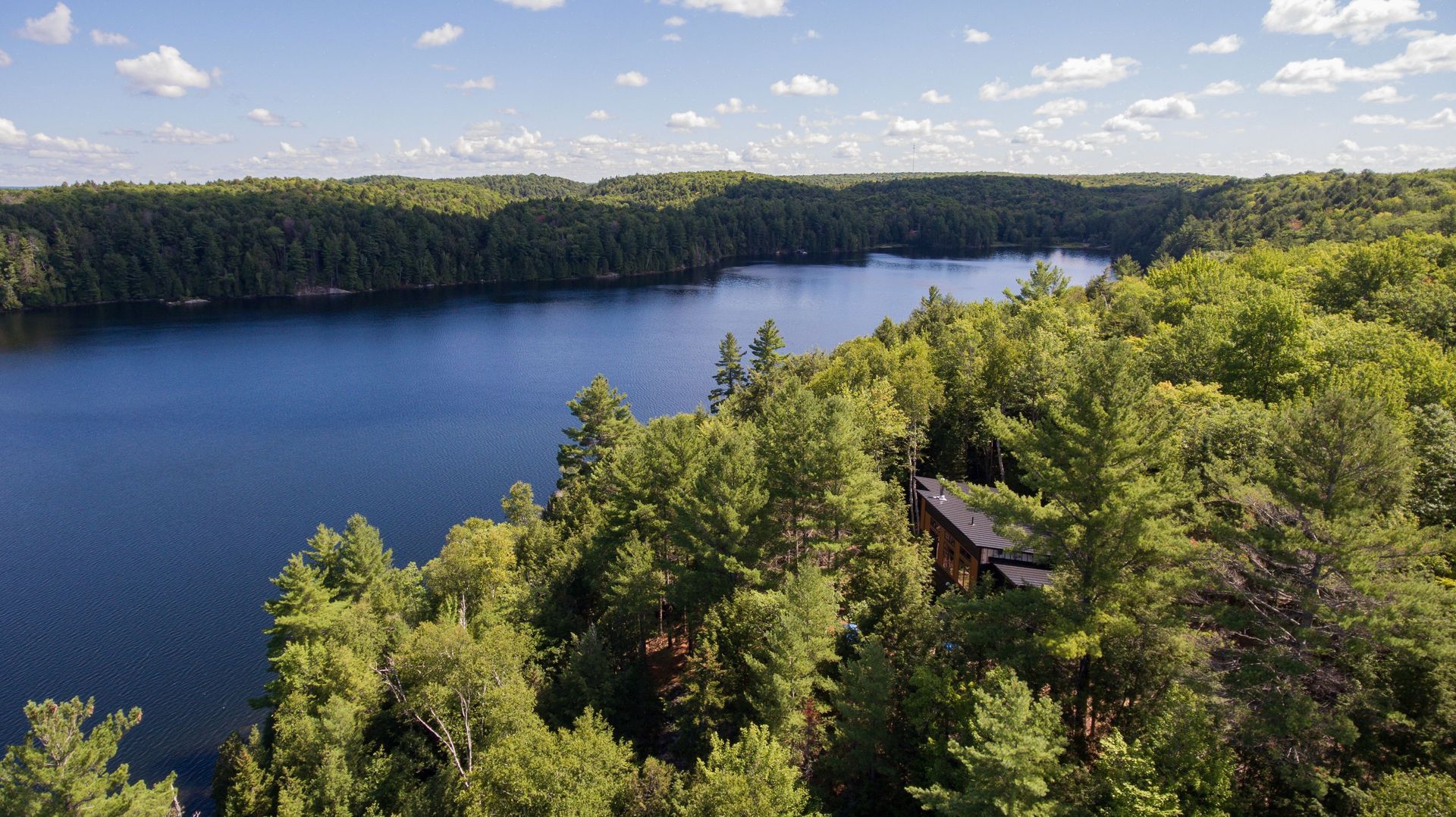An aerial view of a lake surrounded by trees on a sunny day.