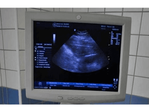 Macchina per ecografie veterinarie