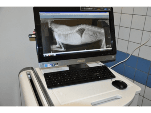 Strumentazione per visite veterinarie