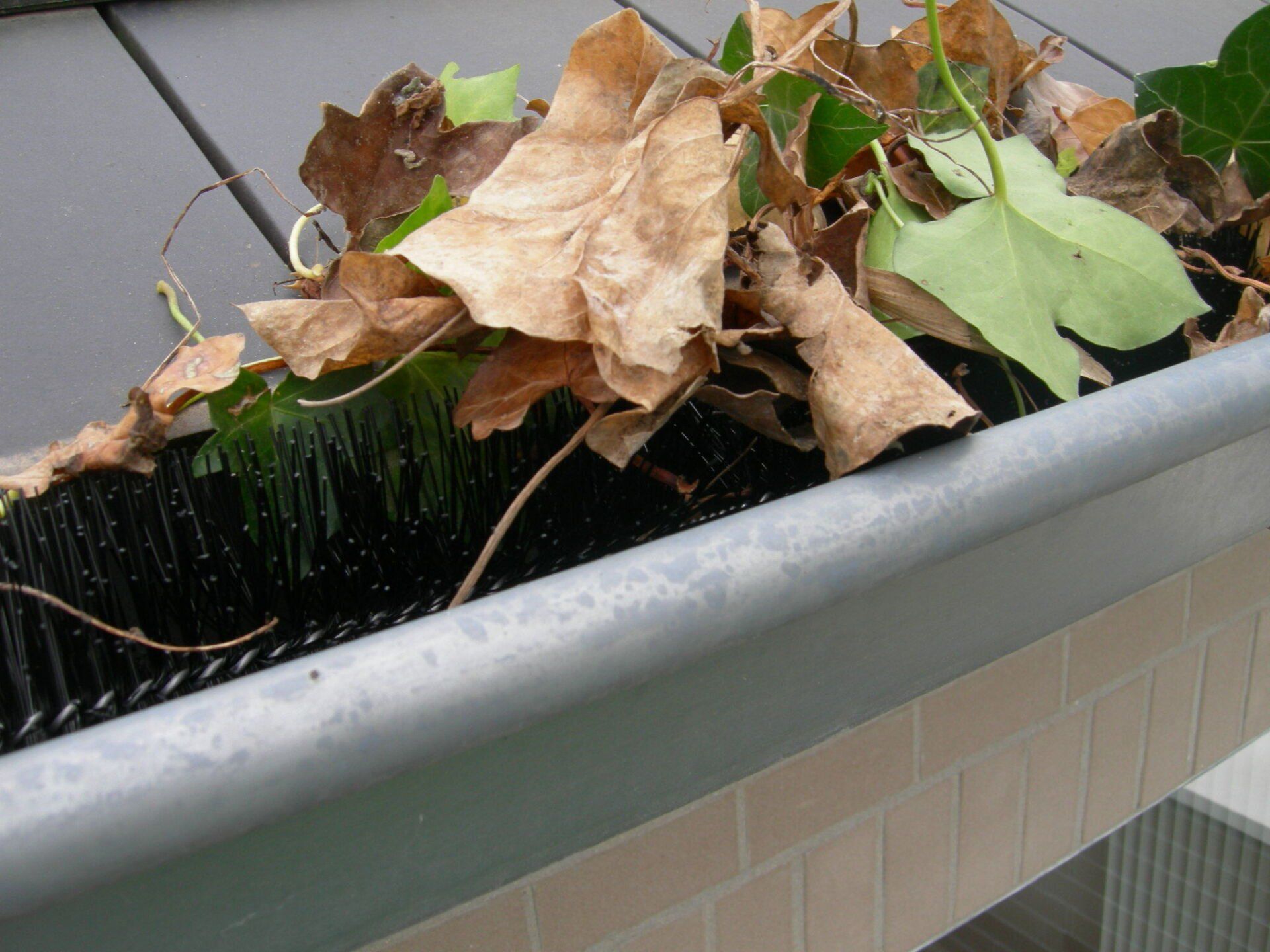 Tergobrush, gotenborstel, borstel voor de dakgoot, TB120, Pama