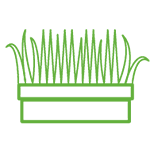 grass in a pot icon in green