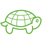 turtle icon in green