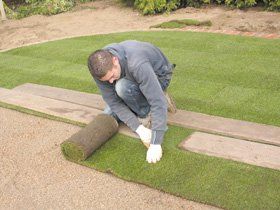 turfing and lawn care-Greenshoots Garden Services