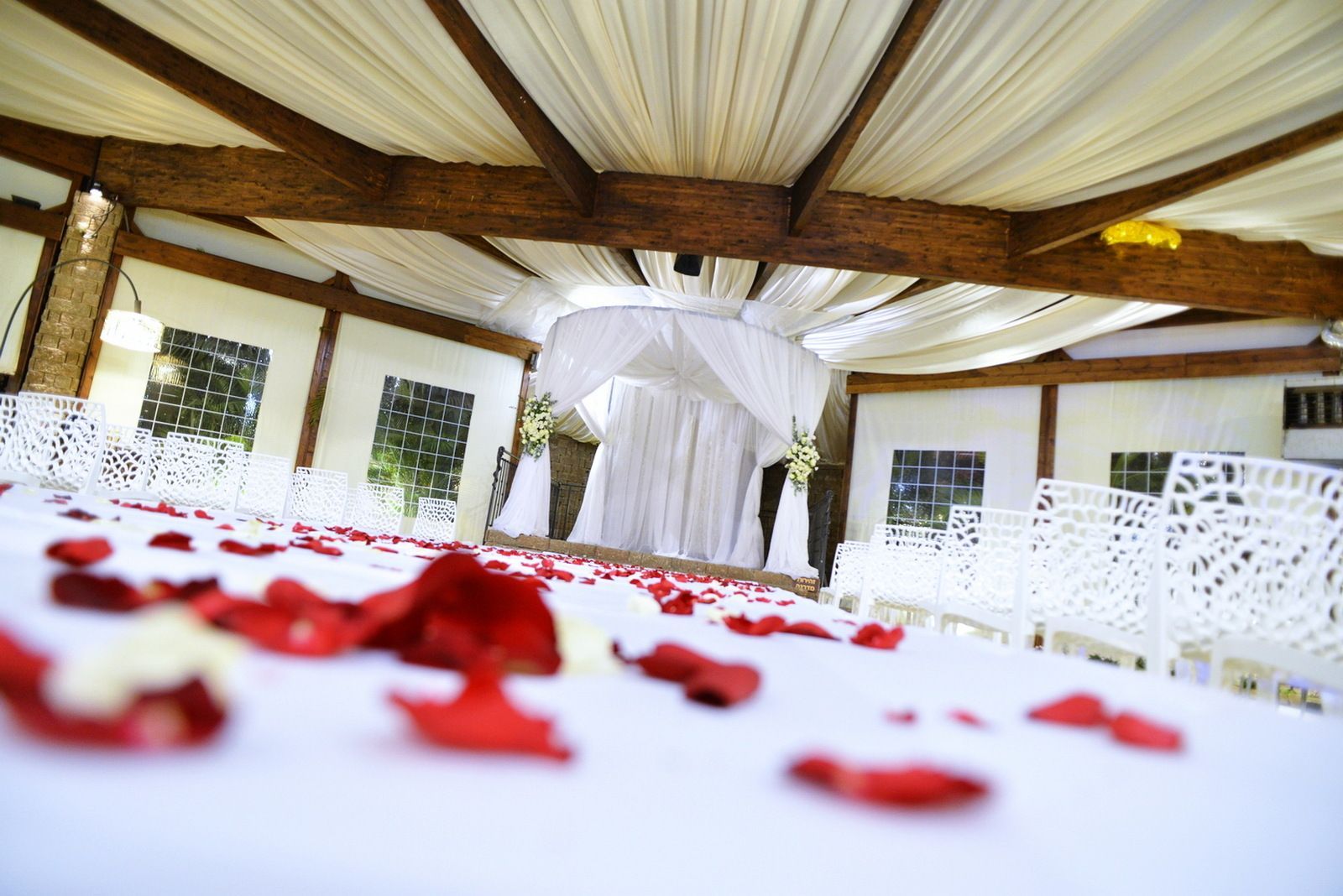 צילום חתונה - צלם חתונה מומלץ
גיל דור - צילום אירועים
צלם אירועים במודיעין