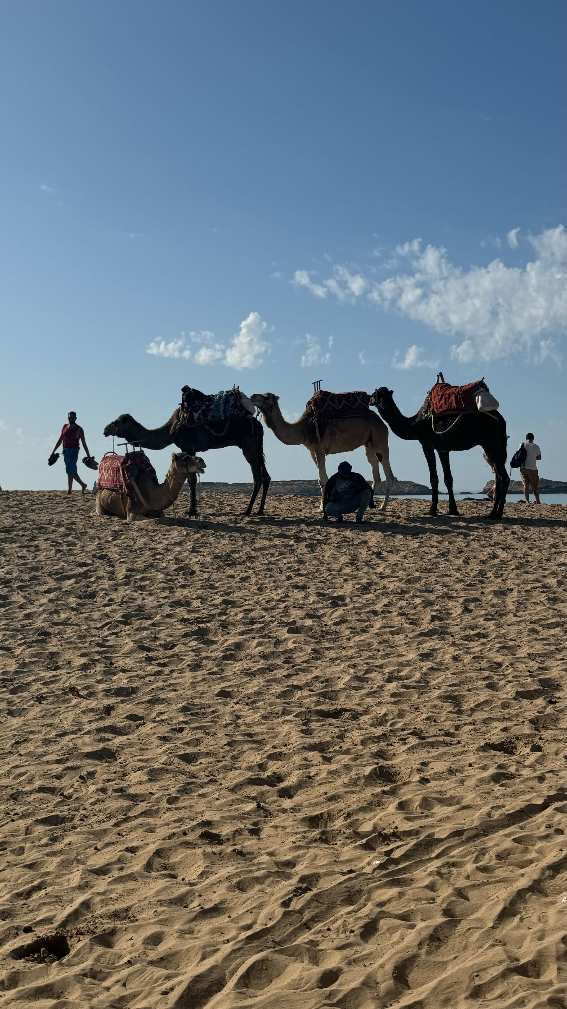 Camels on sandy beach under a blue sky. People near them, some riding.