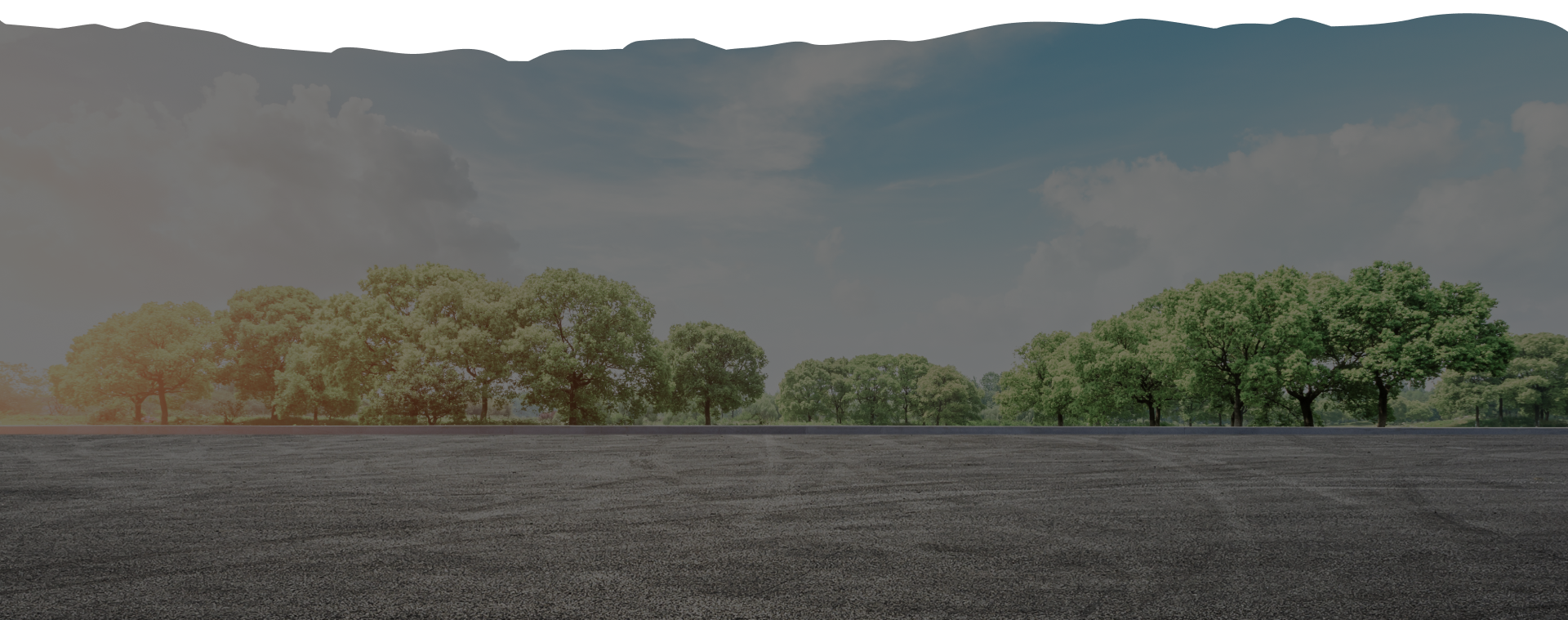 A row of trees in a field with a cloudy sky in the background. | Mark's Auto Repair