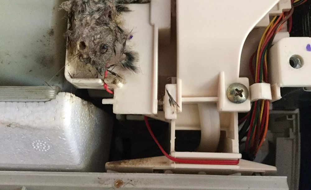 A Close Up Of A Machine With A Lot Of Dust On It — More Clean Air In Maitland, NSW