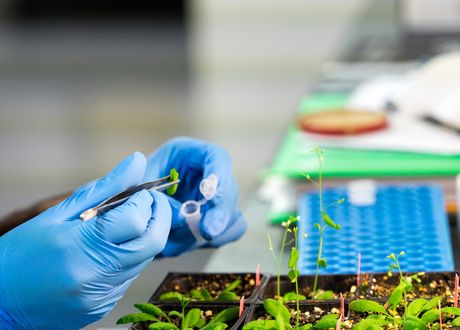 Scientific Investigator Using Plant — Ferntree Gully, VIC — Anri Instruments & Controls