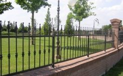 Cancellata nera - Mafer bologna