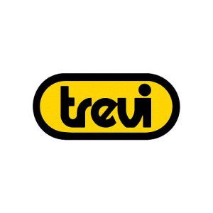 logo trevi