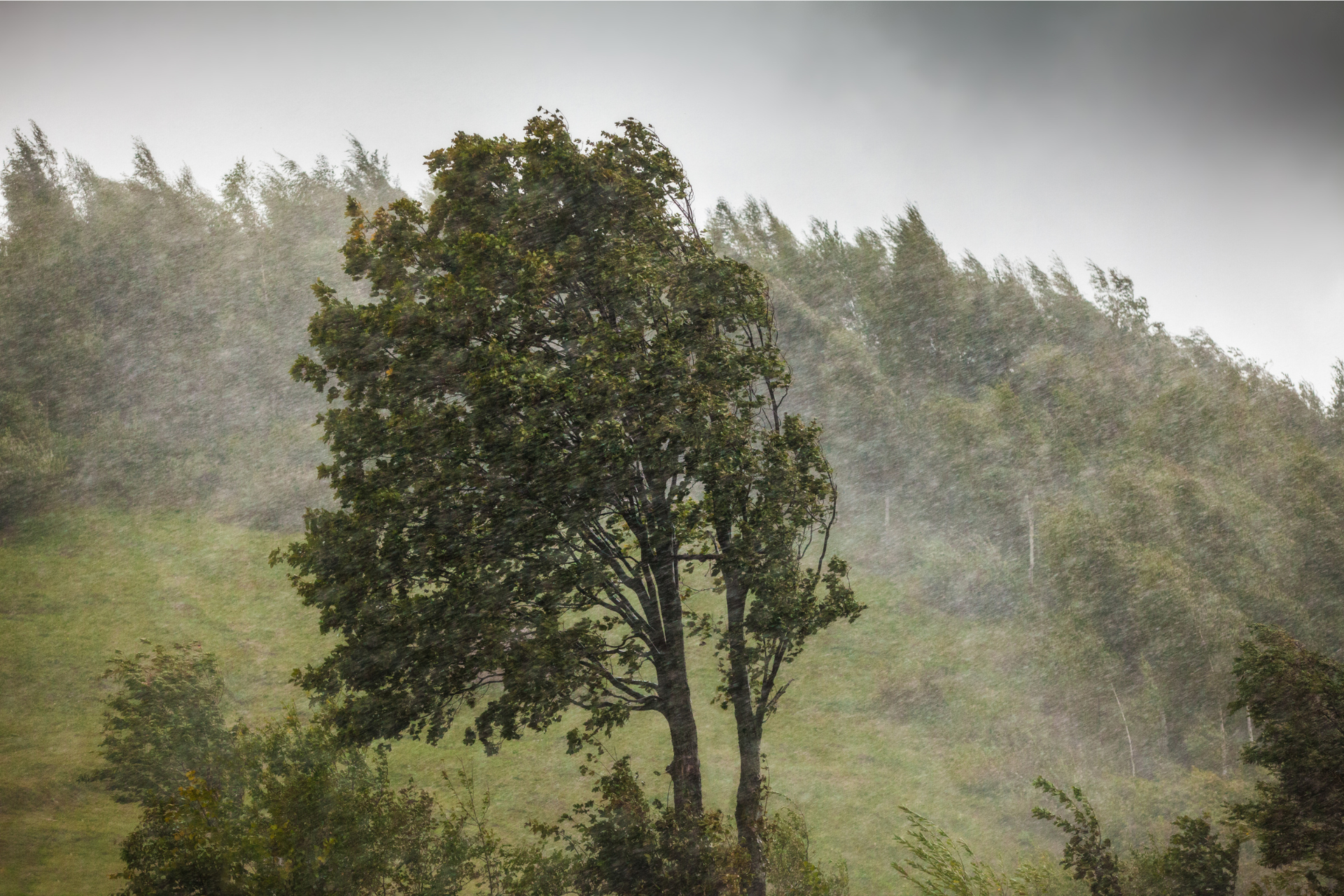 Change of weather conditions