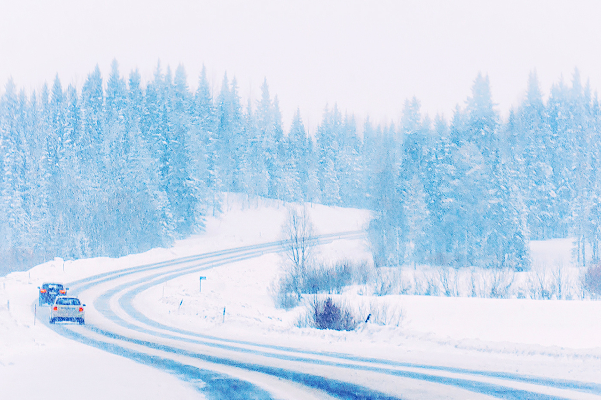 Winter Woes