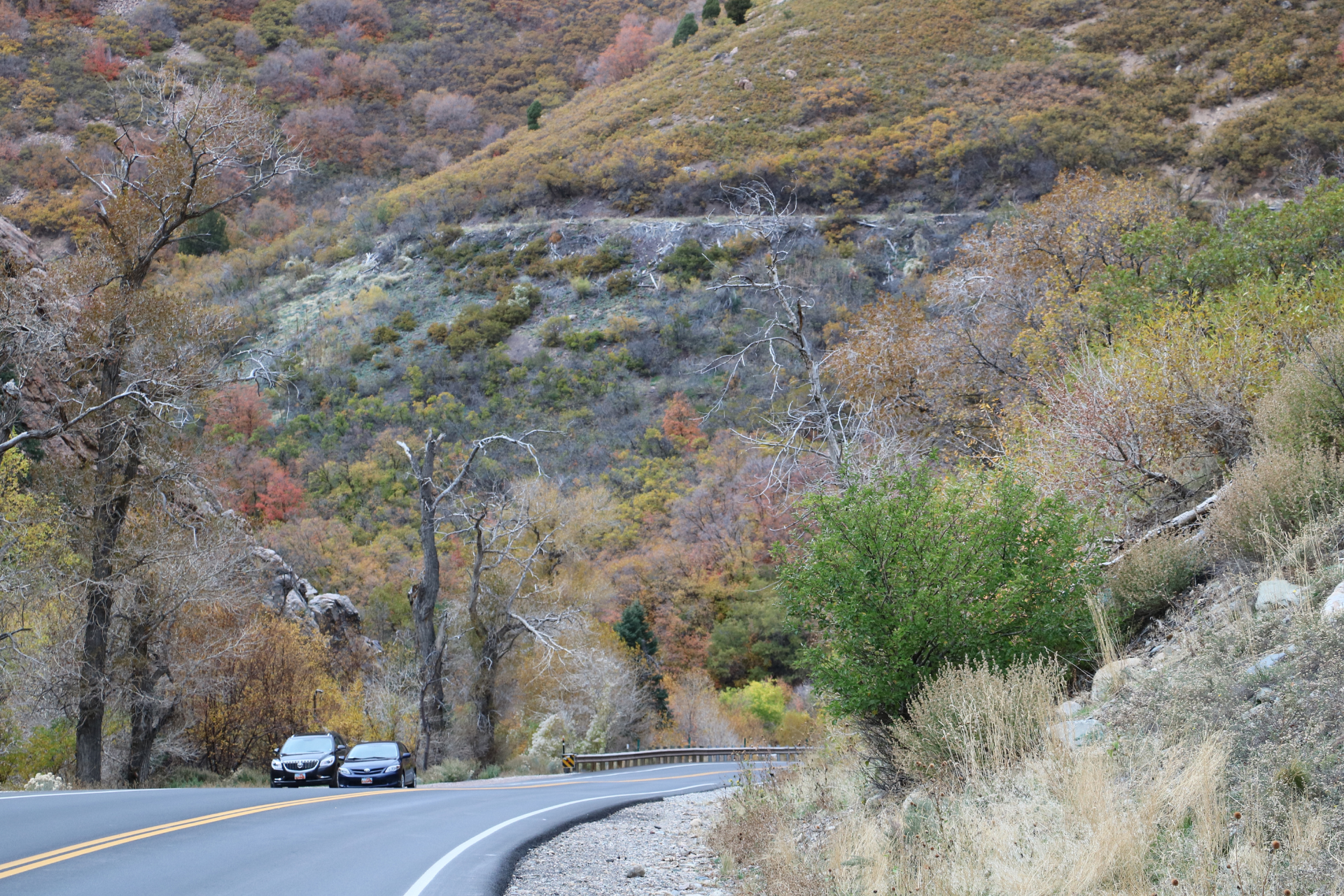 Scenic Drives in Utah