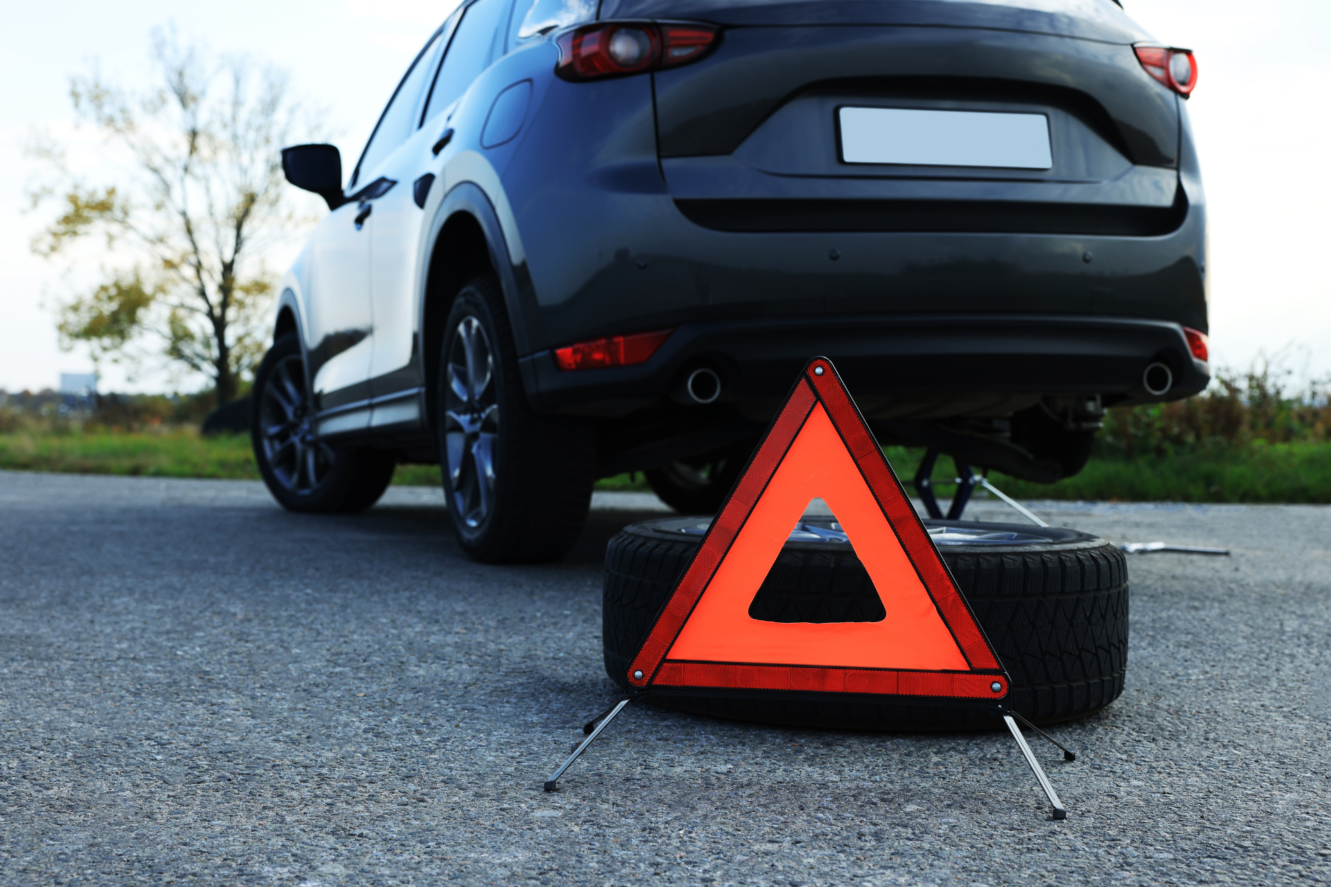 Roadside Emergency