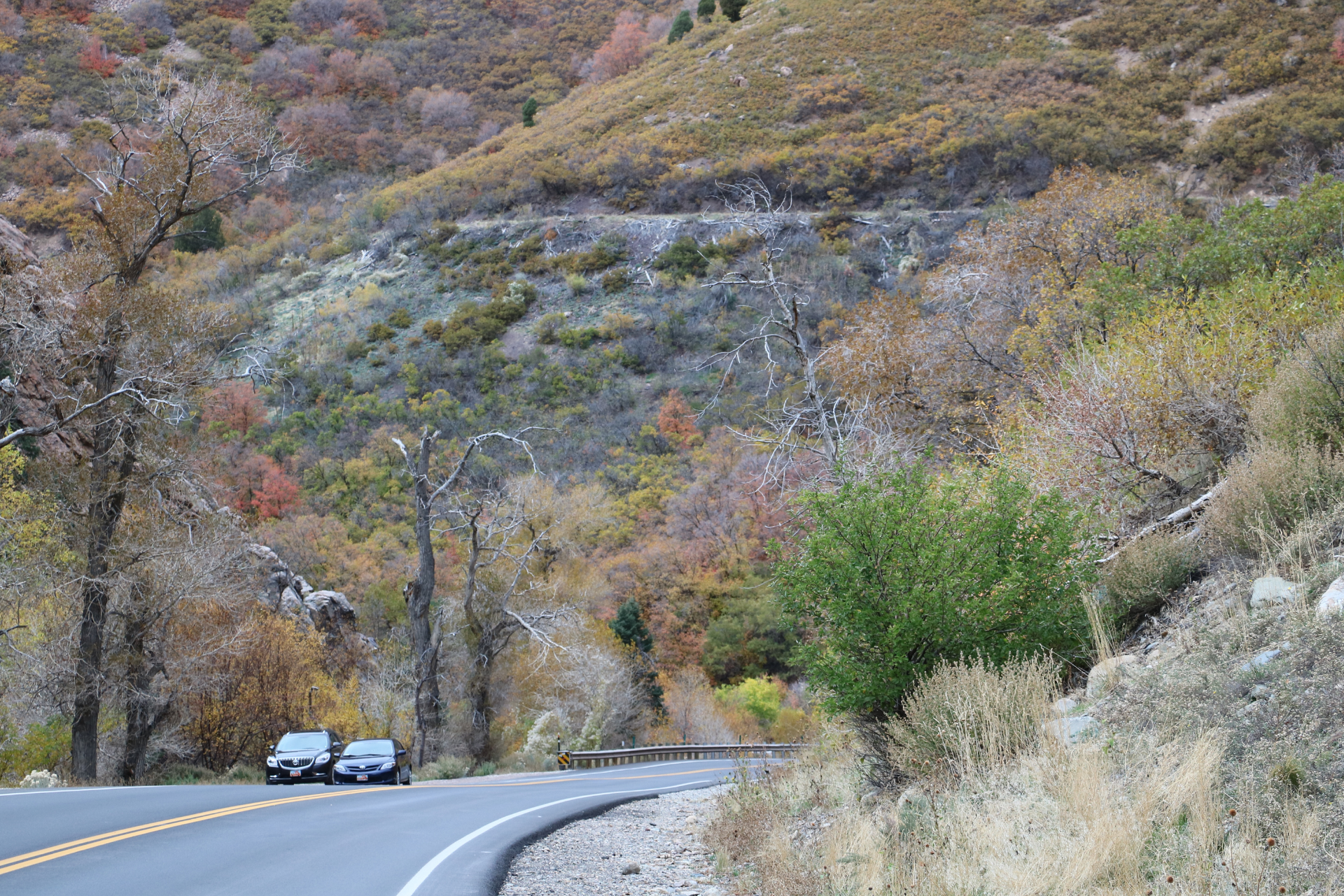 Utah’s Mountain Roads