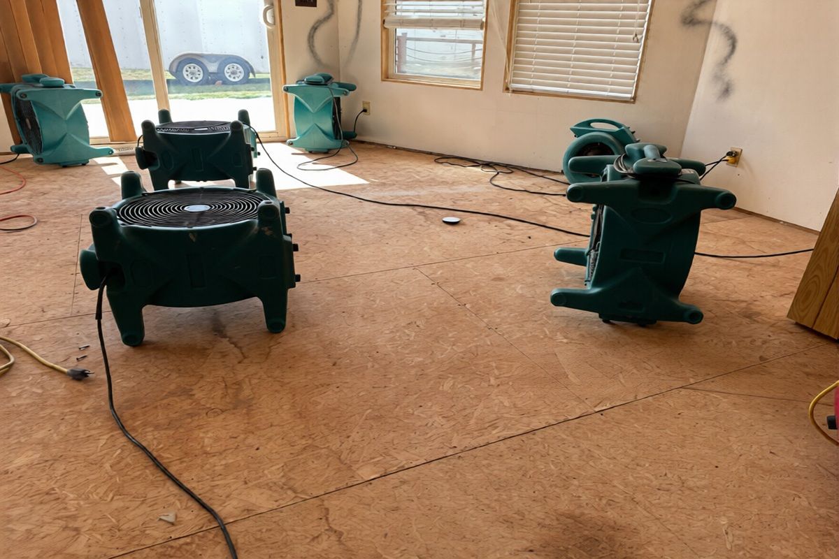 Green air movers drying a room after water damage; wood-look floor, windows, and cords.
