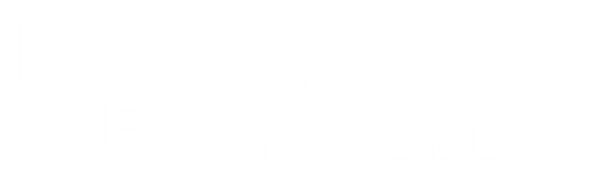 B2RE Property Management Logo White