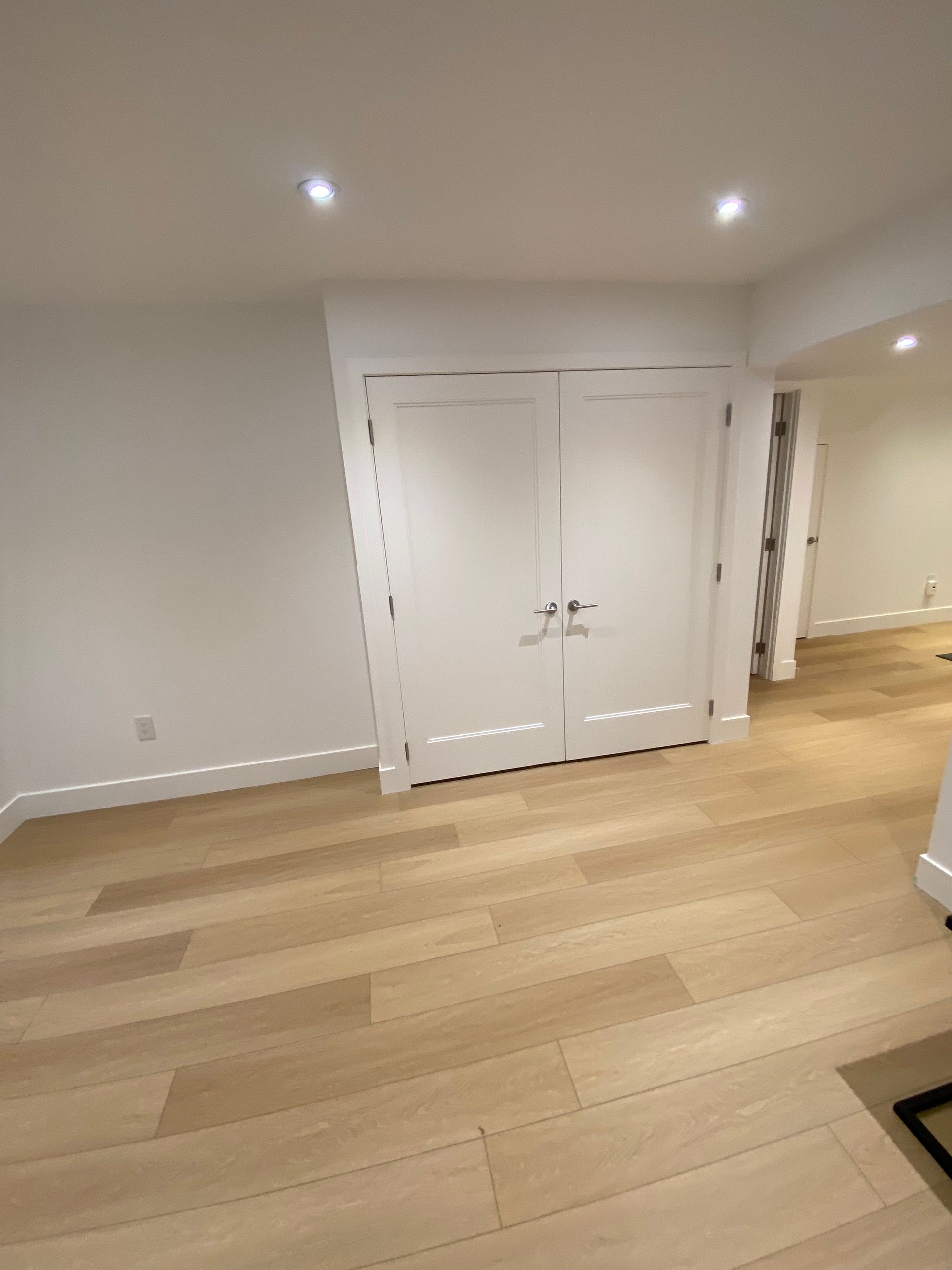 Bright room with light wood floors, white walls, and a pair of white doors. Recessed lighting.
