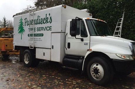 Woodburn — Papendieck's Tree Service Truck in Salem, OR