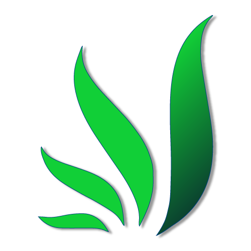 A green leaf with a shadow on a white background the Logo of Romaga Landscaping
