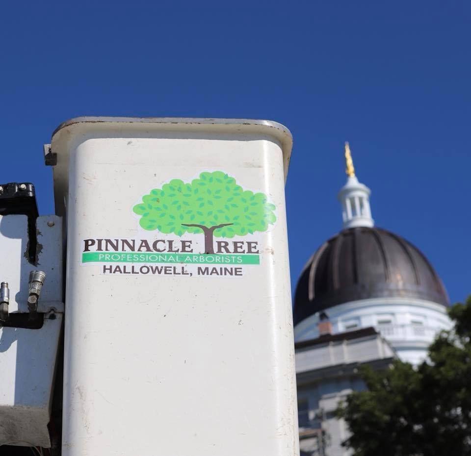 A pinnacle tree sign with a dome in the background