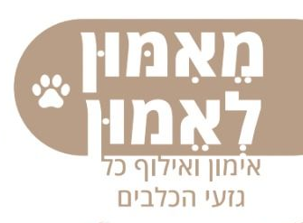 פגישת תכנון לפיתוח סדנה חינוכית