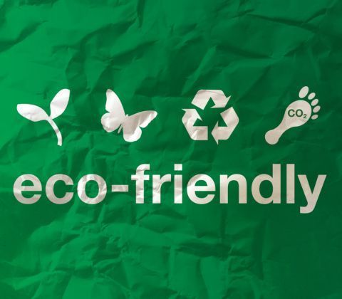 Green background with white “eco-friendly” text and icons of leaves, a butterfly, recycling symbol, and footprint with CO2.