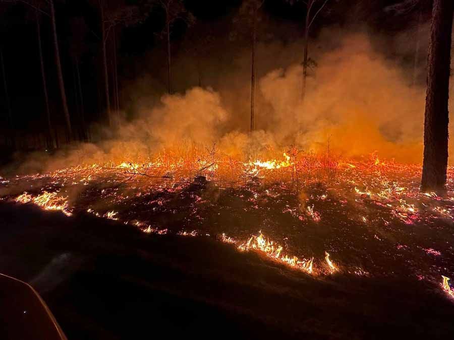 Wildfire burning on the forest floor at night, with flames, smoke, and trees.