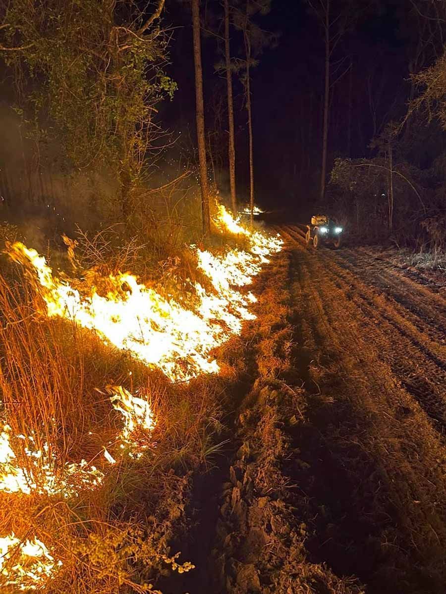 Fire burning along a forest road at night, with trees and a vehicle in the background.