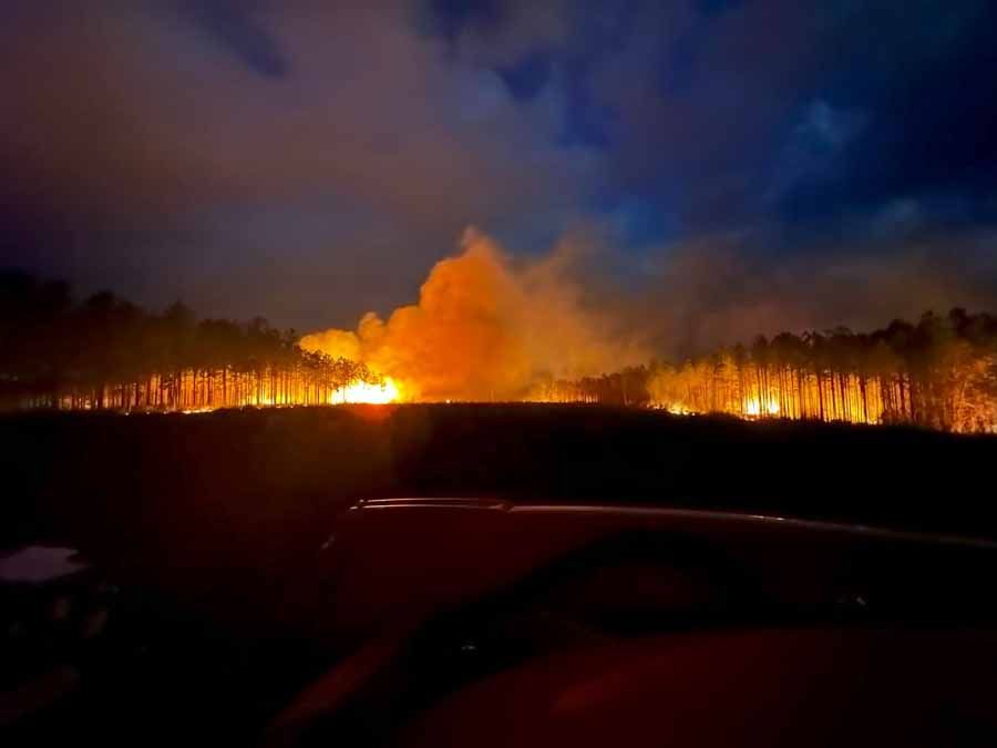 Wildfire at night: burning trees illuminate the horizon, orange flames and smoke against a dark sky.