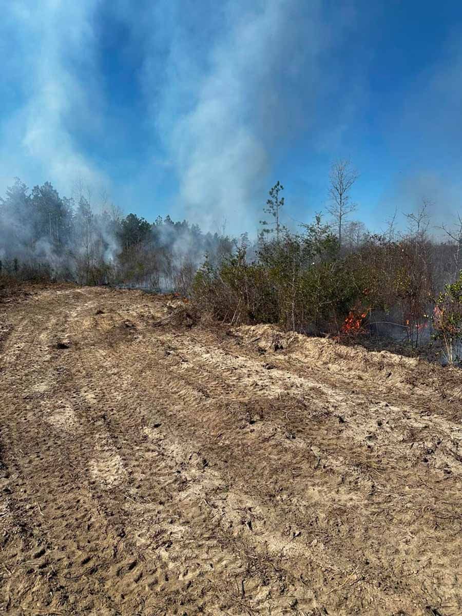 Wildfire in a wooded area, with smoke rising against a blue sky. Burned vegetation and dirt path in foreground.