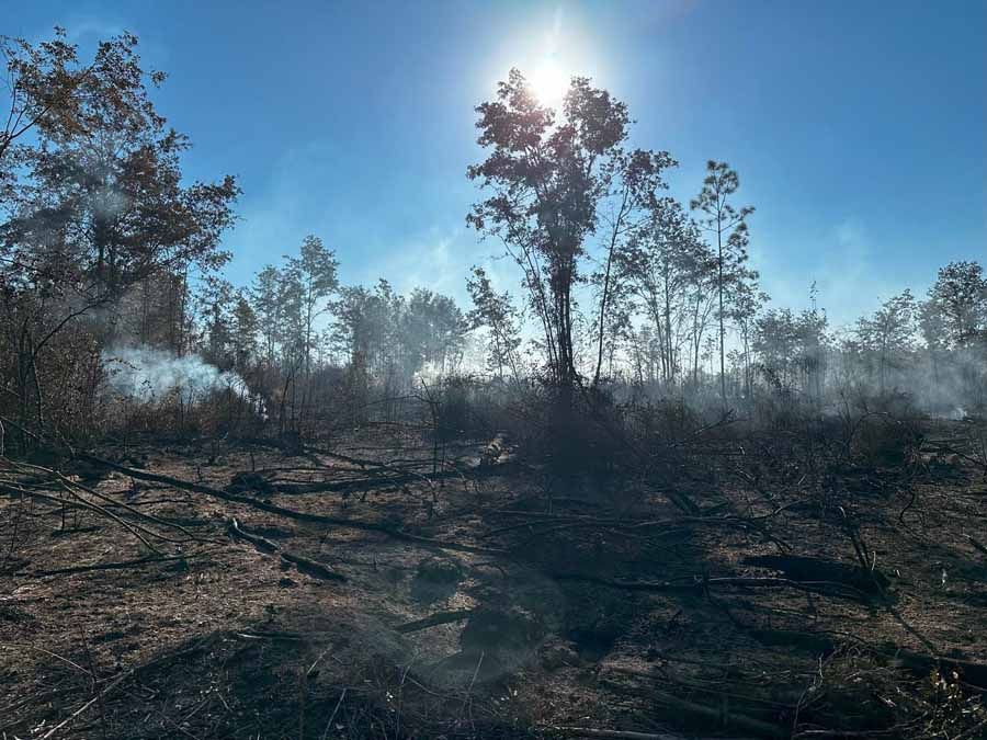Smoldering wildfire in a forest under a bright sun, with smoke rising and charred ground.