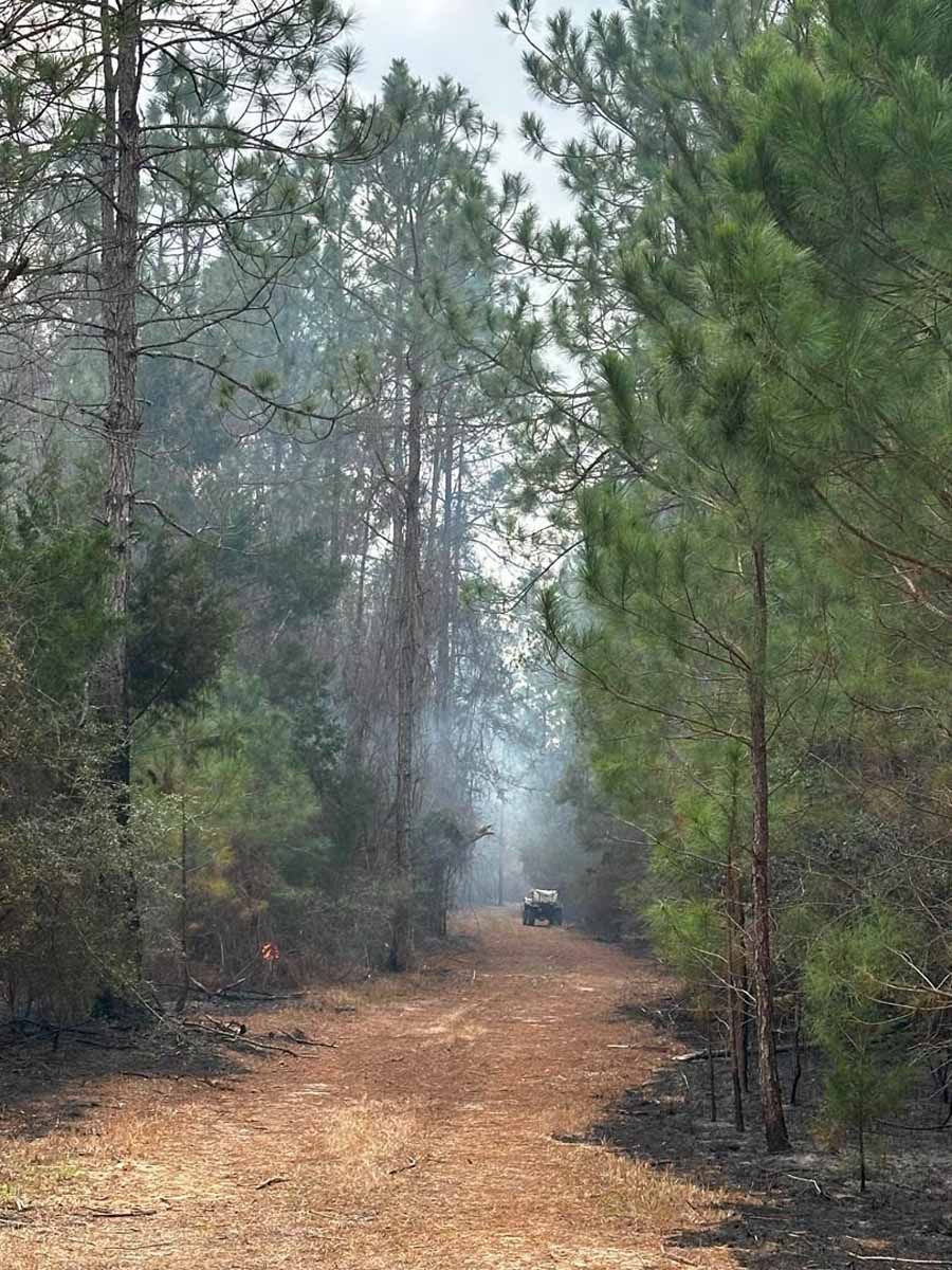 Dirt road through a forest, with a vehicle in the distance and smoke in the air.