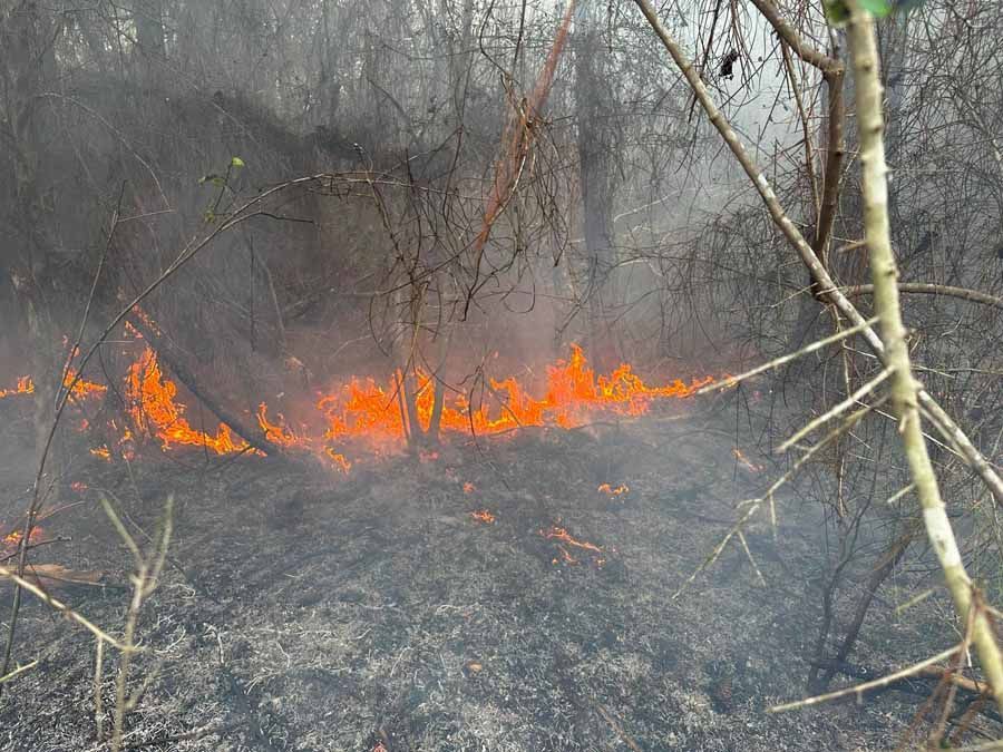 Fire burning in brush, orange flames against a dark, smoky background.