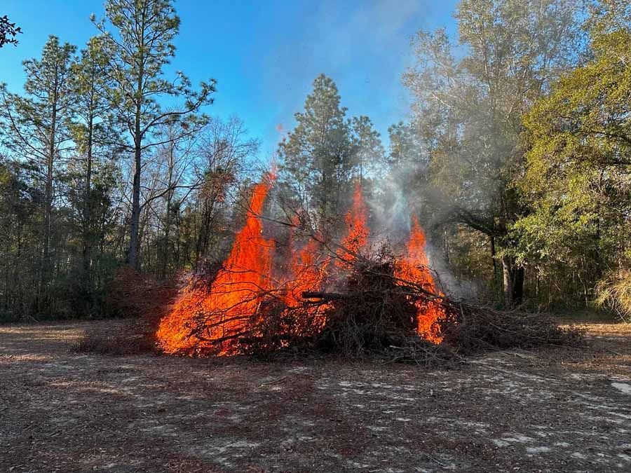 Large brush fire in a wooded area, with bright orange flames and white smoke against a blue sky.