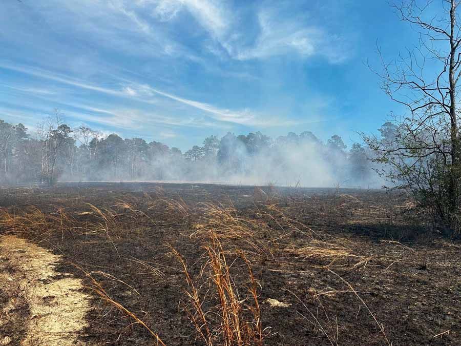 Smoke billows over a charred field with trees in the background under a blue sky.