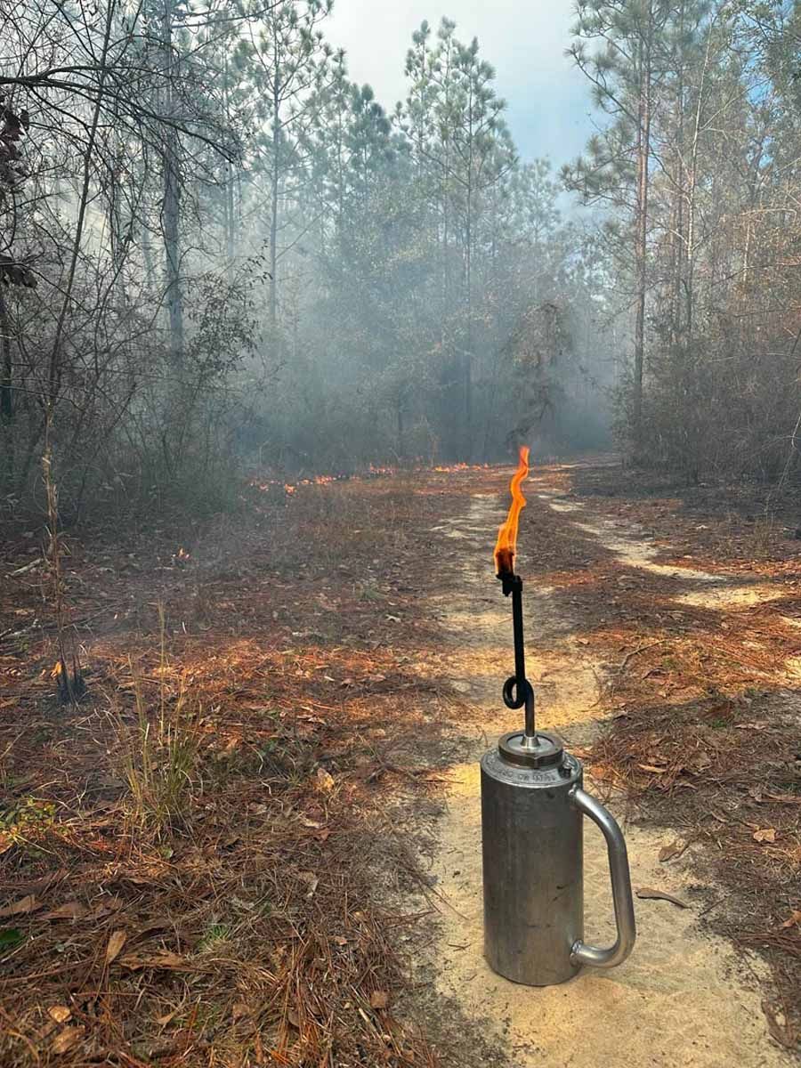 A lit flare on a forest path, with smoke rising in the background, among trees.
