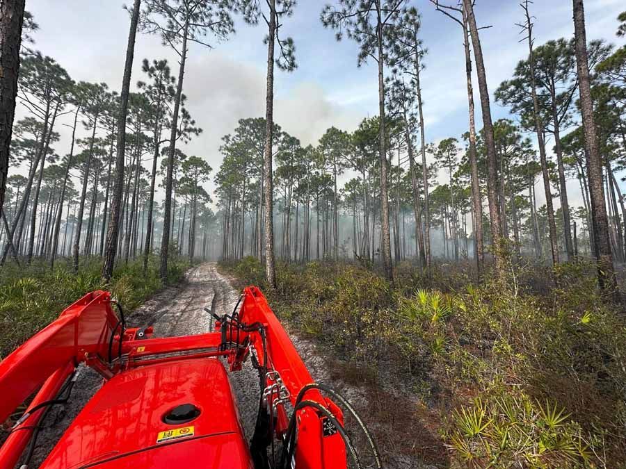Red tractor on a dirt road through a forest with smoke.