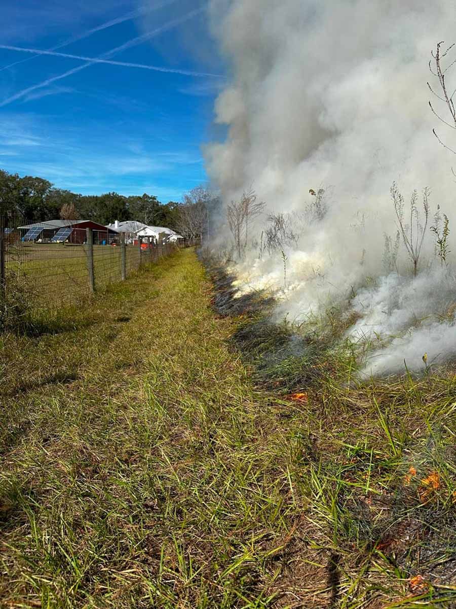 Wildfire along a fence line, billowing smoke. Sunny day, buildings in the background.