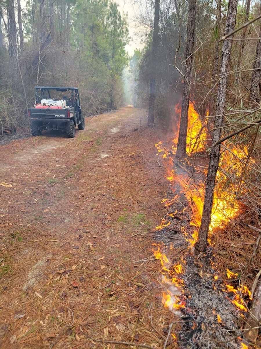Forest fire burning along a dirt road, with a utility vehicle parked nearby.