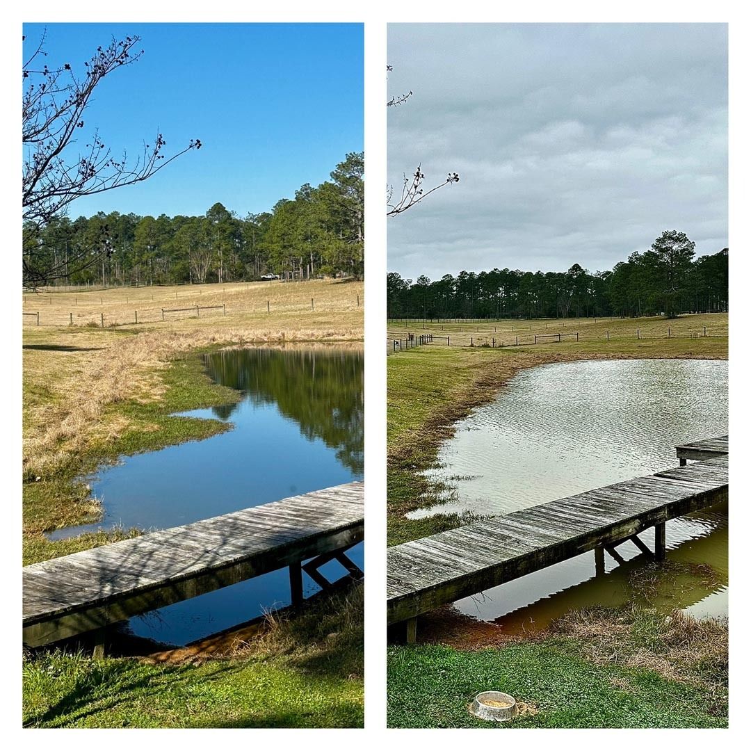 Two views of a pond with a wooden dock; sunny sky on left, cloudy on right; trees in the background.