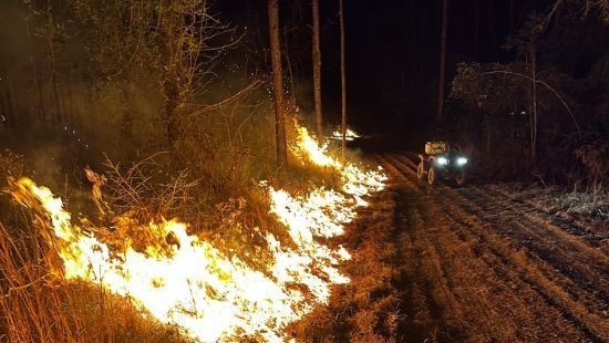 Wildfire burns along a forest road at night. Tractor on road, flames visible.