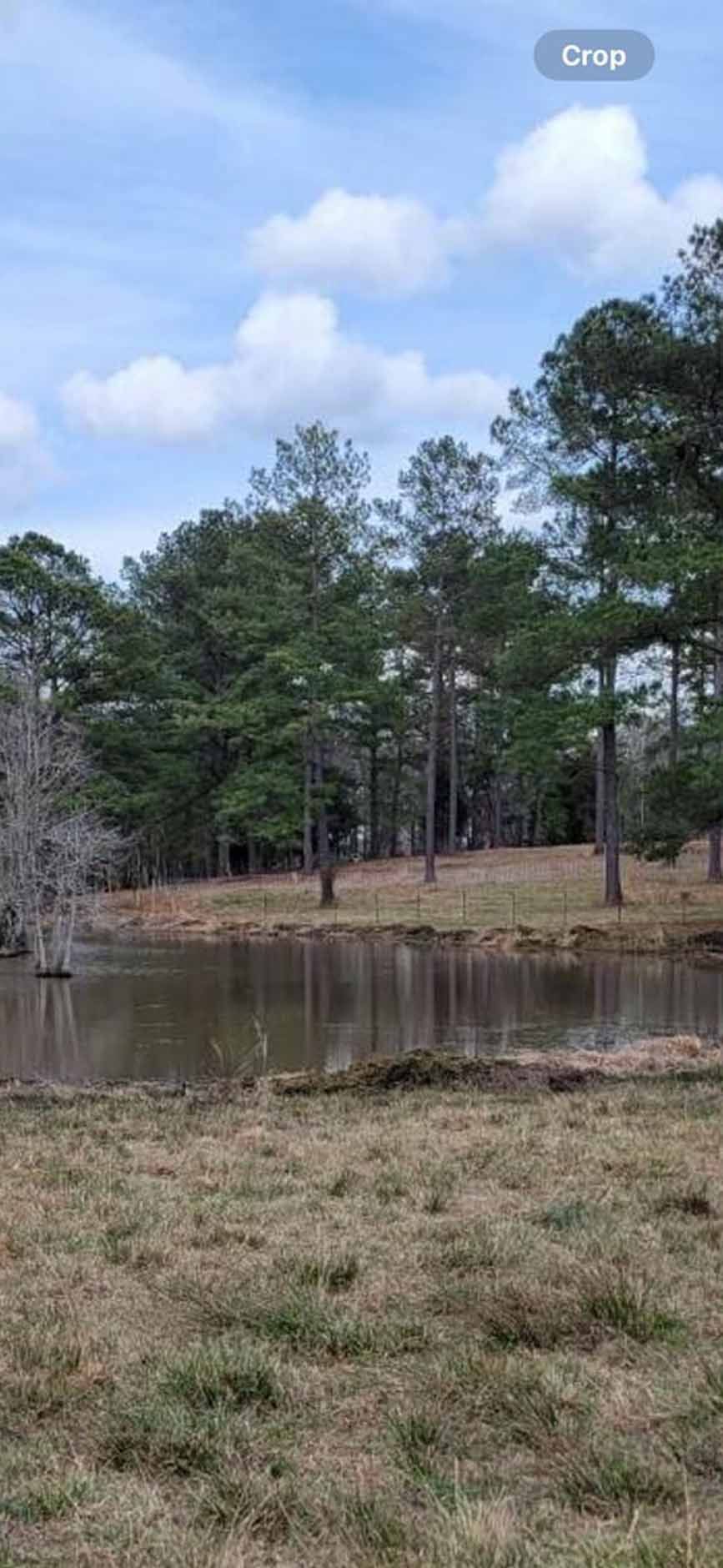 A serene pond surrounded by trees and grassy fields under a partly cloudy sky.