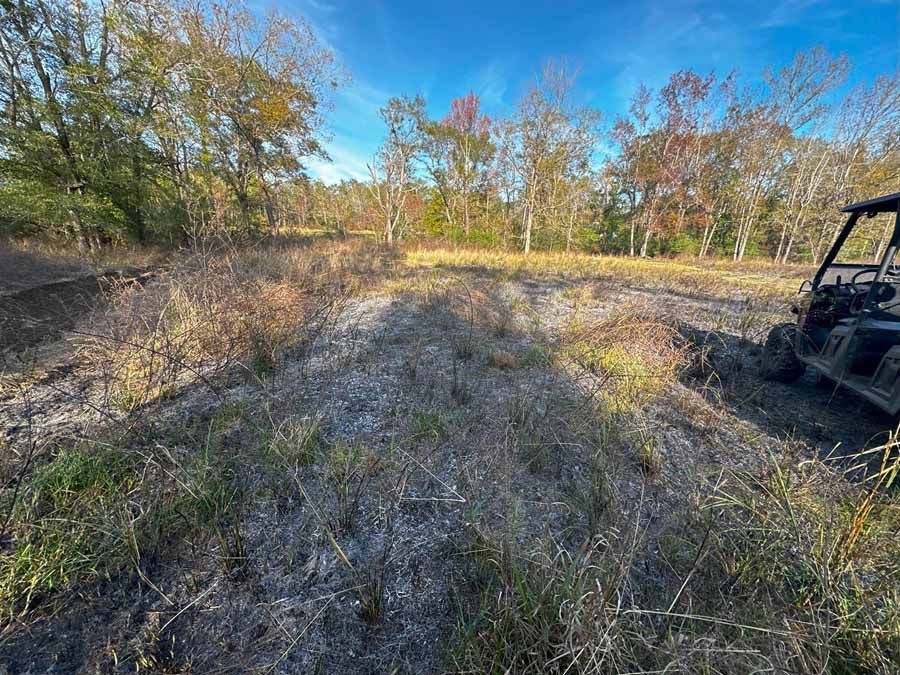 Field of dry grass and weeds, with trees in the background, blue sky, and a utility vehicle parked on the right.