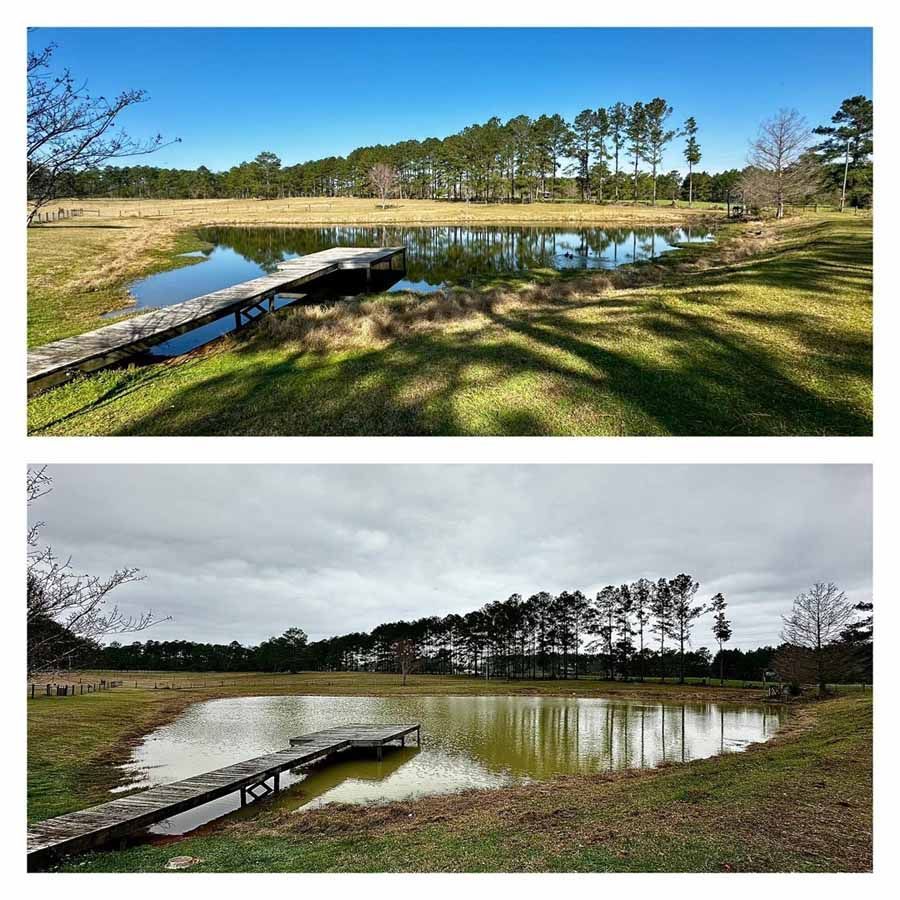 Two scenes: a pond and wooden dock; one sunny, one overcast. Trees line the horizon.
