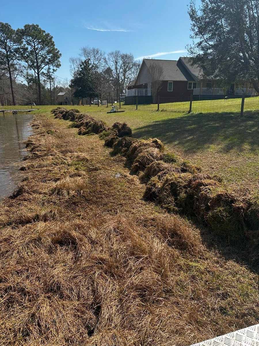 A shoreline with piles of brown debris along the edge of a grassy area near a house.